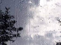 بارش باران پراکنده در زنجان