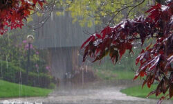 بیشترین بارندگی اخیر در سراب ثبت شد