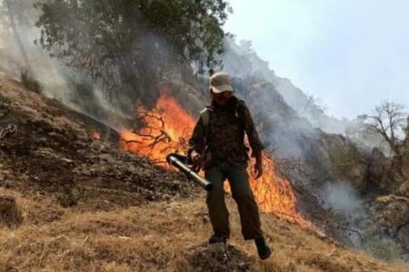 مهار کامل آتش سوزی جنگلهای ارسباران