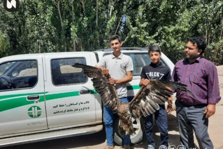 نجات عقاب طلایی از چنگال مرگ در سراب