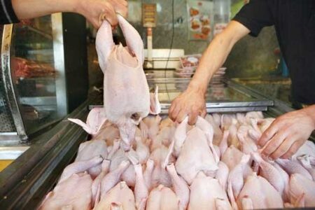 عرضه گسترده مرغ منجمد در آذربایجان شرقی
