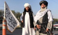 طالبان به هیچ پیمانی وفادار نیست؛ سوخت شان را قطع کنید؛ راههای تجارت را ببندید ؛ اعضای سفارت شان را بیرون کنید