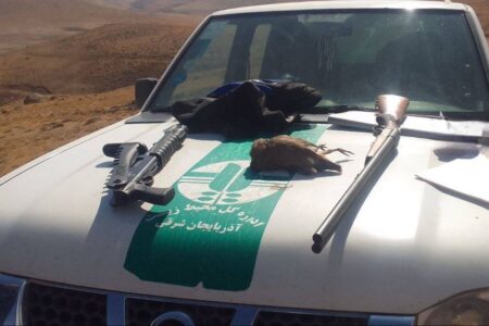 دستگیری سه شکارچی غیرمجاز خرگوش در اراضی اسماعیل‌آباد سراب / ضبط سلاح و ۸ لاشه